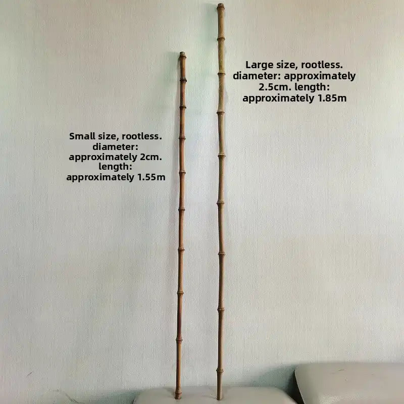 Vintage Wenzhu Bamboo Walking Stick – 10 Unique Styles