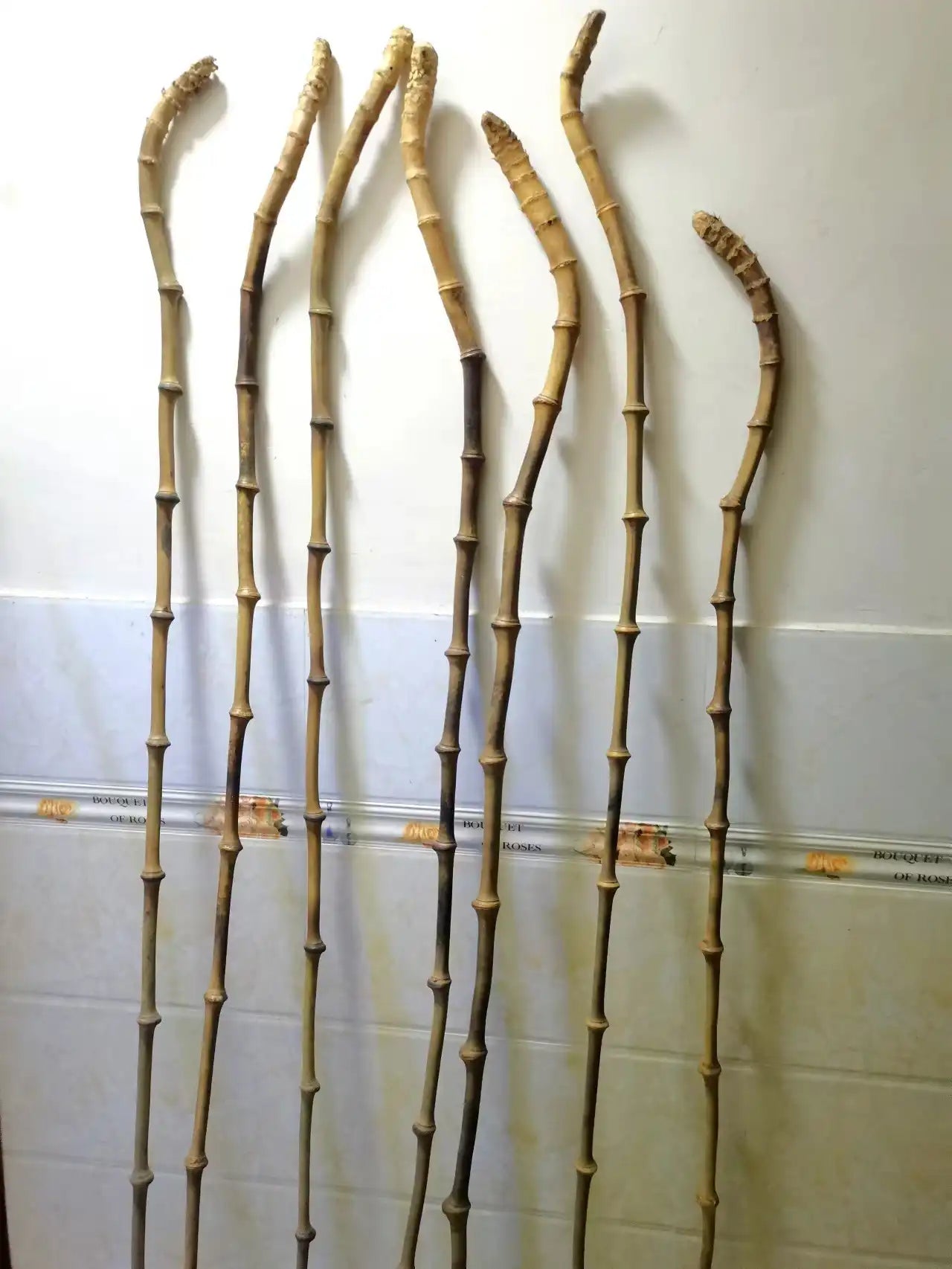 Vintage Wenzhu Bamboo Walking Stick – 10 Unique Styles