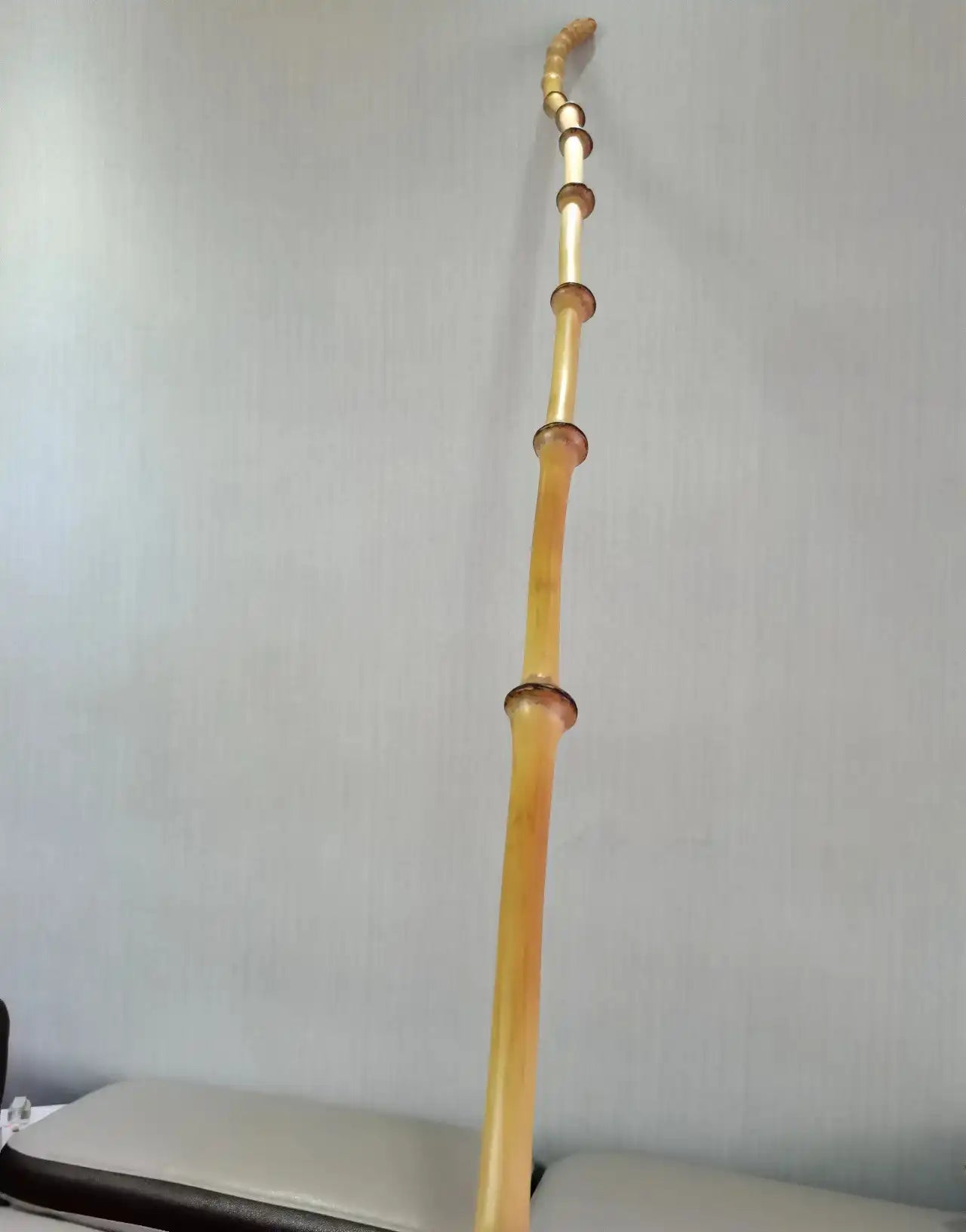Vintage Wenzhu Bamboo Walking Stick – 10 Unique Styles